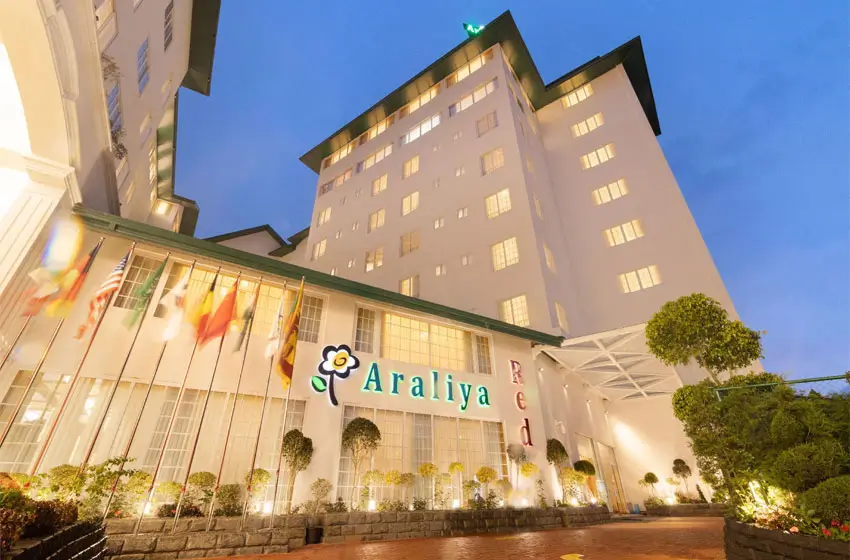 Araliya Red – Nuwara Eliya