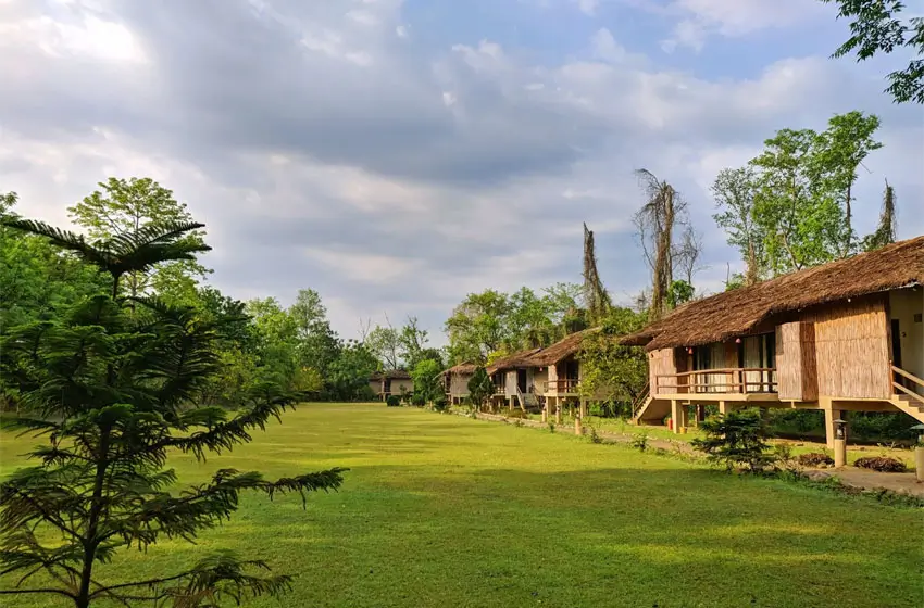 Temple Tiger Green Jungle Resort , Chitwan