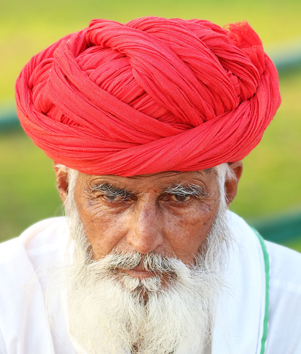 Golden Triangle India Tours & Beyond – Luxury Private Journeys