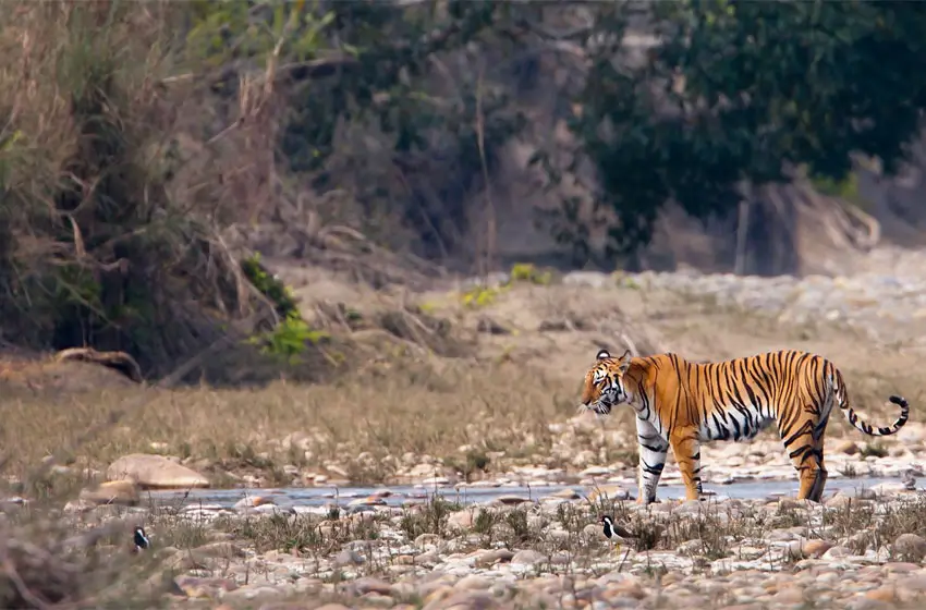 Kanha National Park