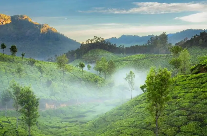 Munnar: Kerala’s Mist-Kissed Hill Country