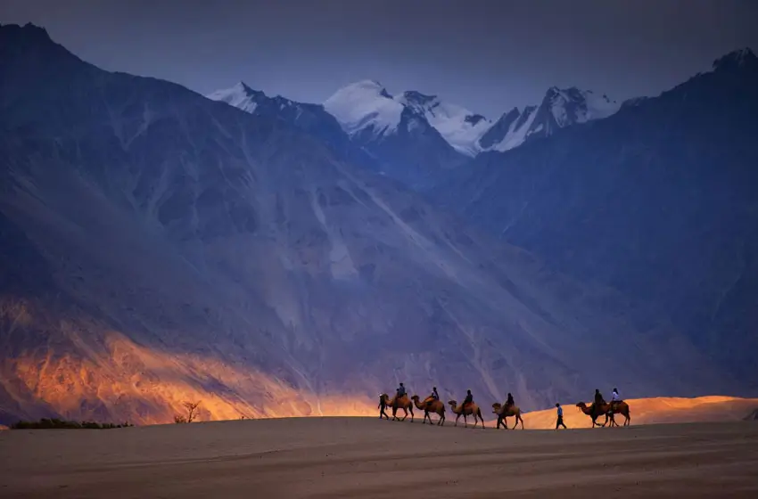 Nubra Valley – The Oasis of Ladakh’s High-Altitude Desert