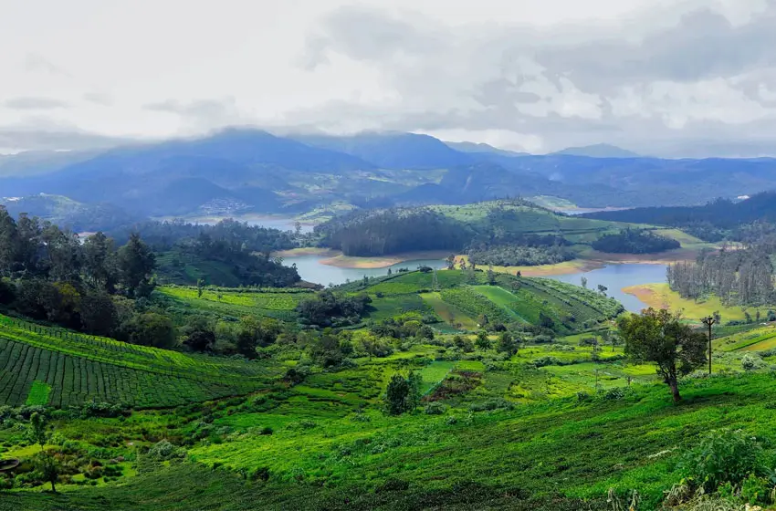Ooty: The Queen of Hill Stations
