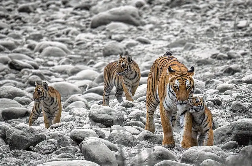 Paro – Tiger’s Nest Monastery Excursion (B & D)