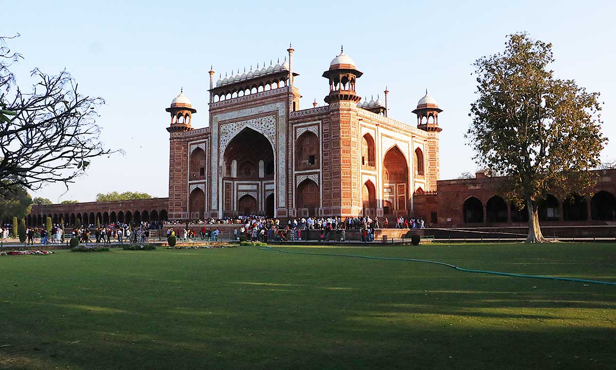 Taj, Tiger’s & Royality of Rajasthan