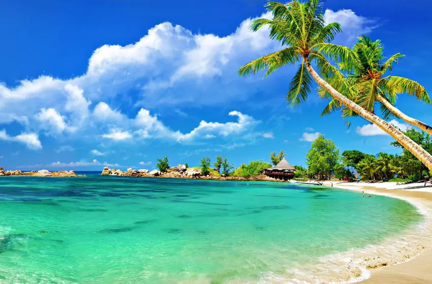 A Royal Journey Through Royal Cities, Wild Safaris & Golden Beaches